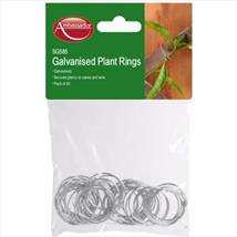 Ambassador Galvanised Plant Rings Pk of 50