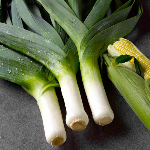 Leeks and Onions