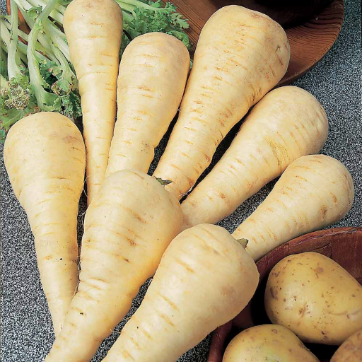 Parsnips