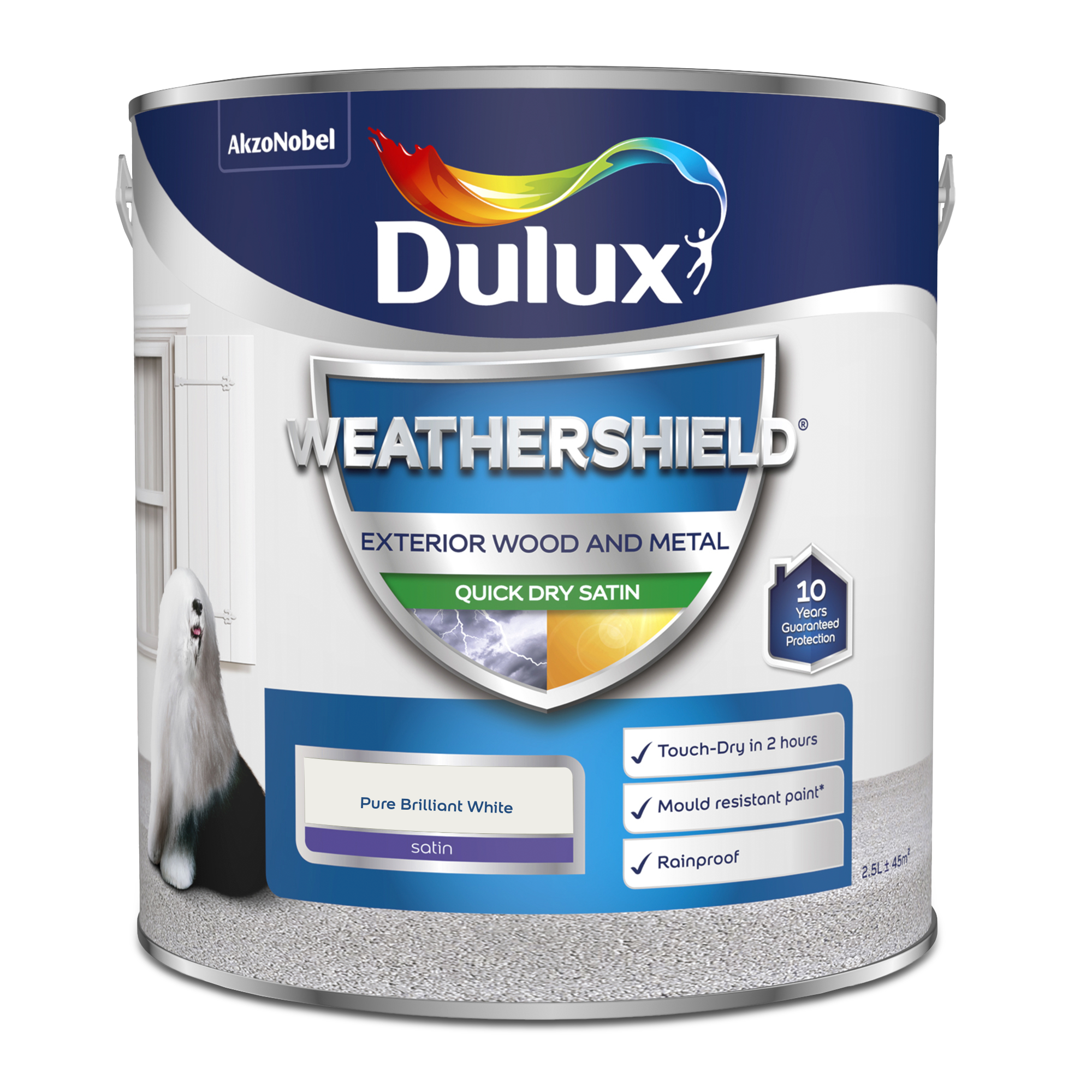 Exterior Paint