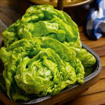 Suttons Lettuce Seeds - All The Year Round