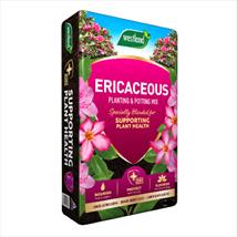 Westland Ericaceous Compost 50ltr