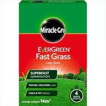 Evergreen Fast Grass Lawn Seed 420g