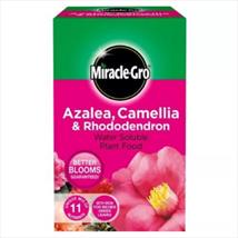 Miracle-Gro Azalea, Camellia & Rhododendron Soluble Plant Food 1kg