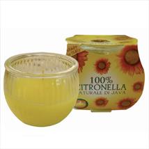 Citronella Jar Candle