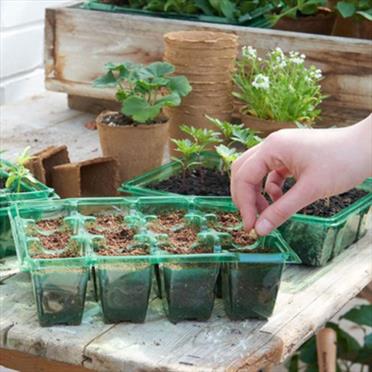 Spring Gardening