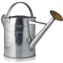 Ambassador Galvanised Watering Can 2 Gallon