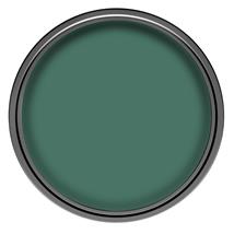 Dulux Emulsion Emerald Glade 30ml