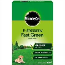 EverGreen Fast Green 80sqm
