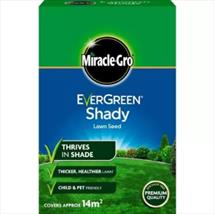 Evergreen Shady Lawn Seed 14sqm