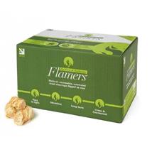 Flamers Natural Firelighters x 200