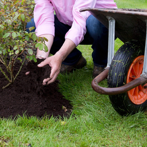 Gardening