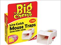 STV Big Cheese Live Catch Mouse Trap (Pack of 2)