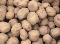 King Edward - Main Crop 1kg