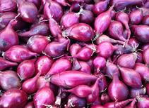 Red Baron Onion Sets 100g