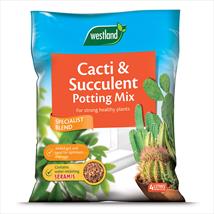 Westland Cacti and Succulent Potting Mix 4 ltr