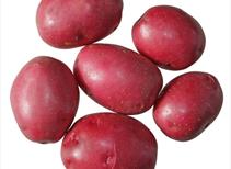 Desiree - Main Crop 1kg