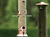 Bird Feeders