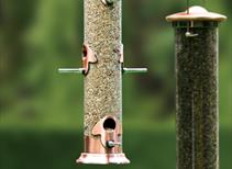 BIRD FOOD ACCESSORIES