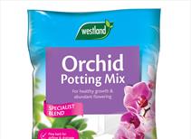 Westland Orchid Potting Mix 8 ltr