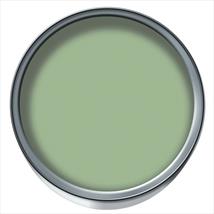 Dulux Emulsion Overtly Olive 30ml
