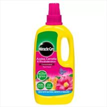 Miracle-Gro® Azalea, Camellia & Rhododendron Concentrated Liquid Plant Food 1ltr