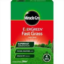 Evergreen Fast Grass Lawn Seed 840g