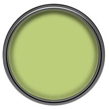 Dulux Emulsion Kiwi Crush 2.5ltr