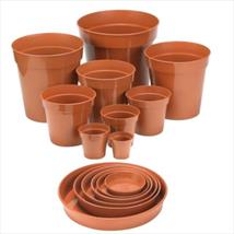 Ambassador Plastic Plant Pots 3"
